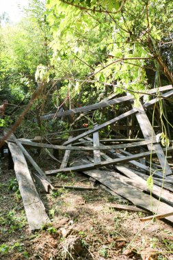 Erkekler birlikte çalışır, güneşli bir günde ormandaki çalılıklarda eski kereste iskelesini sökerler.