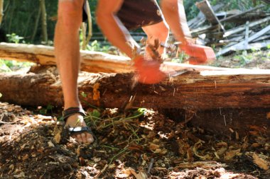 Bir marangozun elleri dikili ahşap, el aletleri torna, güzel güçlü erkek elleri, güneşli bir günde eski meşe kütüğünü işliyor.