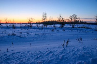 Güzel renkli Sunset kış manzarası. Mor ve pembe renkli kar tarlaları var. Ağaçların siluetleri ve parlak kar.