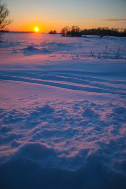 Güzel renkli Sunset kış manzarası. Mor ve pembe renkli kar tarlaları var. Ağaçların siluetleri ve parlak kar.