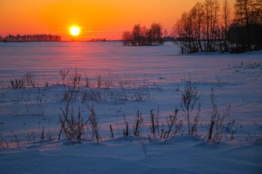 Güzel renkli Sunset kış manzarası. Mor ve pembe renkli kar tarlaları var. Ağaçların siluetleri ve parlak kar.