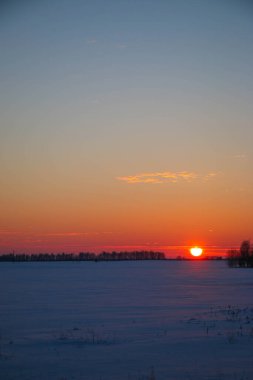 Güzel renkli Sunset kış manzarası. Mor ve pembe renkli kar tarlaları var. Ağaçların siluetleri ve parlak kar.