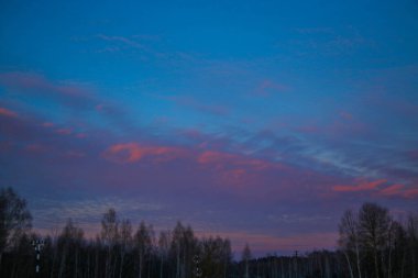 Güzel renkli Sunset kış manzarası. Mor ve pembe renkli kar tarlaları var. Ağaçların siluetleri ve parlak kar.