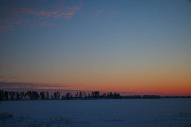Güzel renkli Sunset kış manzarası. Mor ve pembe renkli kar tarlaları var. Ağaçların siluetleri ve parlak kar.