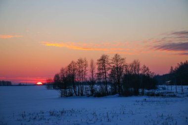 Güzel renkli Sunset kış manzarası. Mor ve pembe renkli kar tarlaları var. Ağaçların siluetleri ve parlak kar.