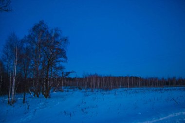 Güzel kış günbatımı Karda ağaçlarla