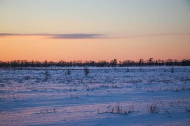Güzel renkli Sunset kış manzarası. Mor ve pembe renkli kar tarlaları var. Ağaçların siluetleri ve parlak kar.