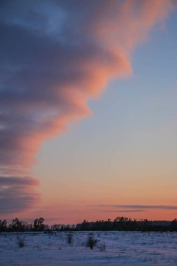 Güzel renkli Sunset kış manzarası. Mor ve pembe renkli kar tarlaları var. Ağaçların siluetleri ve parlak kar.