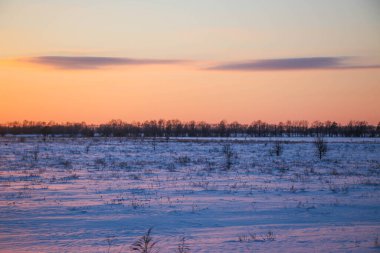 Güzel renkli Sunset kış manzarası. Mor ve pembe renkli kar tarlaları var. Ağaçların siluetleri ve parlak kar.