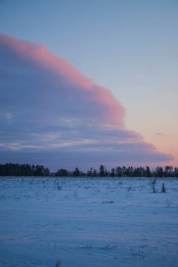 Güzel renkli Sunset kış manzarası. Mor ve pembe renkli kar tarlaları var. Ağaçların siluetleri ve parlak kar.