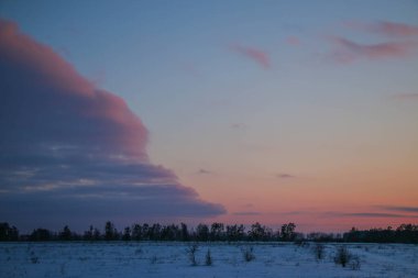 Güzel renkli Sunset kış manzarası. Mor ve pembe renkli kar tarlaları var. Ağaçların siluetleri ve parlak kar.