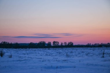 Güzel renkli Sunset kış manzarası. Mor ve pembe renkli kar tarlaları var. Ağaçların siluetleri ve parlak kar.