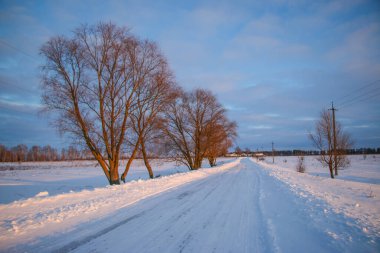 Güzel kış manzarası ağaçların arasındaki beyaz yol, mavi gökyüzü bulutlu güneşli gün, hepsi karda, ılık günbatımı ışığı