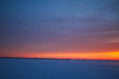Güzel renkli günbatımı kış manzarası. Mor ve pembe renklerle kaplı kar tarlaları. Ağaçların siluetleri ve parlak kar. Karda kurutulmuş bitkiler..