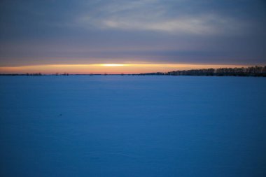 Güzel renkli günbatımı kış manzarası. Mor ve pembe renklerle kaplı kar tarlaları. Ağaçların siluetleri ve parlak kar. Karda kurutulmuş bitkiler..