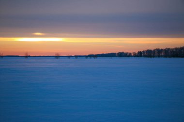 Güzel renkli günbatımı kış manzarası. Mor ve pembe renklerle kaplı kar tarlaları. Ağaçların siluetleri ve parlak kar. Karda kurutulmuş bitkiler..