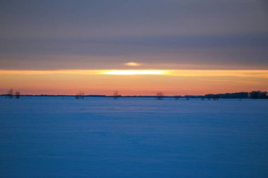 Güzel renkli günbatımı kış manzarası. Mor ve pembe renklerle kaplı kar tarlaları. Ağaçların siluetleri ve parlak kar. Karda kurutulmuş bitkiler..