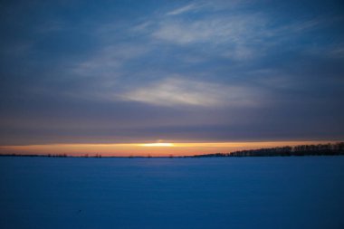 Güzel renkli günbatımı kış manzarası. Mor ve pembe renklerle kaplı kar tarlaları. Ağaçların siluetleri ve parlak kar. Karda kurutulmuş bitkiler..