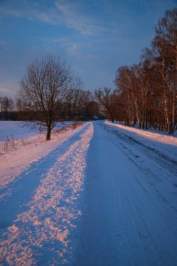 Güzel renkli Sunset kış manzarası. Mor ve pembe renkli kar tarlaları var. Ağaçların siluetleri ve parlak kar.