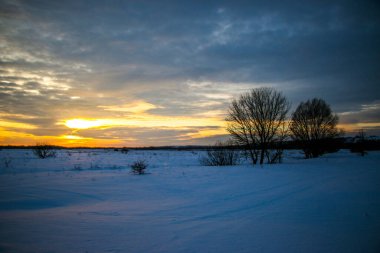 Güzel renkli günbatımı kış manzarası. Mor ve pembe renklerle kaplı kar tarlaları. Ağaçların siluetleri ve parlak kar. Karda kurutulmuş bitkiler..