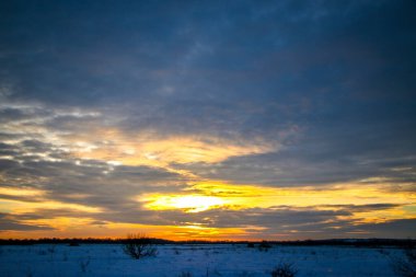 Güzel renkli günbatımı kış manzarası. Mor ve pembe renklerle kaplı kar tarlaları. Ağaçların siluetleri ve parlak kar. Karda kurutulmuş bitkiler..