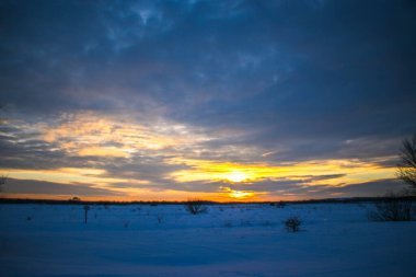 Güzel renkli günbatımı kış manzarası. Mor ve pembe renklerle kaplı kar tarlaları. Ağaçların siluetleri ve parlak kar. Karda kurutulmuş bitkiler..