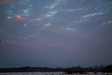 Güzel renkli Sunset kış manzarası. Mor ve pembe renkli kar tarlaları var. Ağaçların siluetleri ve parlak kar.