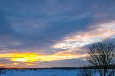 Güzel renkli günbatımı kış manzarası. Mor ve pembe renklerle kaplı kar tarlaları. Ağaçların siluetleri ve parlak kar. Karda kurutulmuş bitkiler..