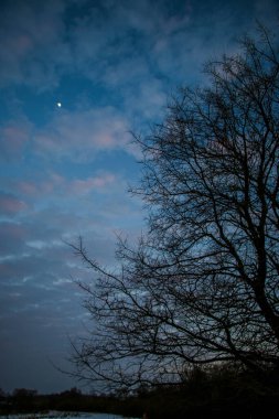 Güzel renkli Sunset kış manzarası. Mor ve pembe renkli kar tarlaları var. Ağaçların siluetleri ve parlak kar.