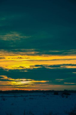 Güzel renkli günbatımı kış manzarası. Mor ve pembe renklerle kaplı kar tarlaları. Ağaçların siluetleri ve parlak kar. Karda kurutulmuş bitkiler..