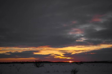Güzel renkli günbatımı kış manzarası. Mor ve pembe renklerle kaplı kar tarlaları. Ağaçların siluetleri ve parlak kar. Karda kurutulmuş bitkiler..