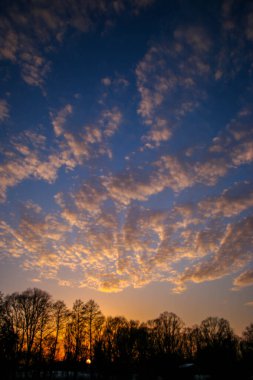 Güzel renkli Sunset kış manzarası. Mor ve pembe renkli kar tarlaları var. Ağaçların siluetleri ve parlak kar.