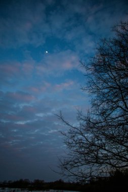 Güzel renkli Sunset kış manzarası. Mor ve pembe renkli kar tarlaları var. Ağaçların siluetleri ve parlak kar.