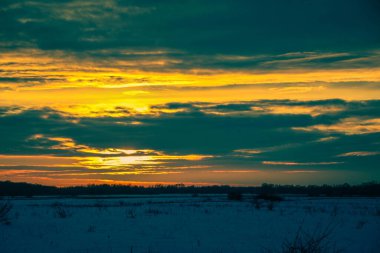 Güzel renkli günbatımı kış manzarası. Mor ve pembe renklerle kaplı kar tarlaları. Ağaçların siluetleri ve parlak kar. Karda kurutulmuş bitkiler..