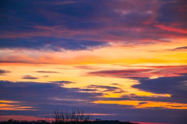 Güzel renkli günbatımı kış manzarası. Mor ve pembe renklerle kaplı kar tarlaları. Ağaçların siluetleri ve parlak kar. Karda kurutulmuş bitkiler..