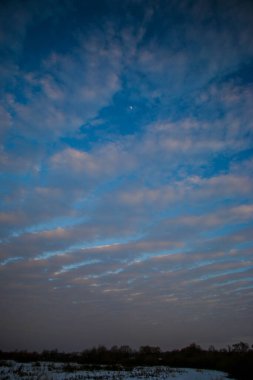 Güzel renkli Sunset kış manzarası. Mor ve pembe renkli kar tarlaları var. Ağaçların siluetleri ve parlak kar.