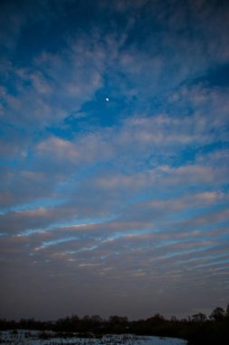 Güzel renkli Sunset kış manzarası. Mor ve pembe renkli kar tarlaları var. Ağaçların siluetleri ve parlak kar.