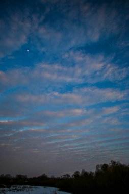 Güzel renkli Sunset kış manzarası. Mor ve pembe renkli kar tarlaları var. Ağaçların siluetleri ve parlak kar.