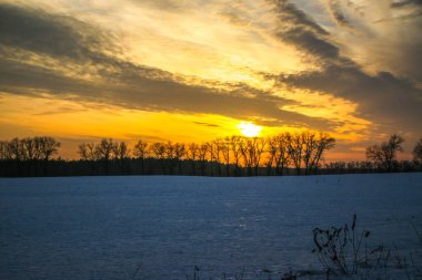 Önünde ağaçlar olan karla kaplı bir tarlanın üzerinde parlak bir kış günbatımı. Yazıtlar için güzel bir arka plan. Ukrayna, Shostka