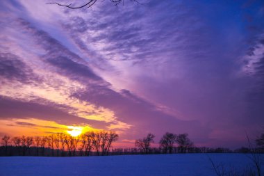 Önünde ağaçlar olan karla kaplı bir tarlanın üzerinde parlak bir kış günbatımı. Yazıtlar için güzel bir arka plan. Ukrayna, Shostka