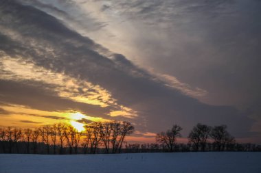 Önünde ağaçlar olan karla kaplı bir tarlanın üzerinde parlak bir kış günbatımı. Yazıtlar için güzel bir arka plan. Ukrayna, Shostka