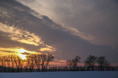 Önünde ağaçlar olan karla kaplı bir tarlanın üzerinde parlak bir kış günbatımı. Yazıtlar için güzel bir arka plan. Ukrayna, Shostka