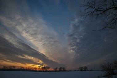 Önünde ağaçlar olan karla kaplı bir tarlanın üzerinde parlak bir kış günbatımı. Yazıtlar için güzel bir arka plan. Ukrayna, Shostka