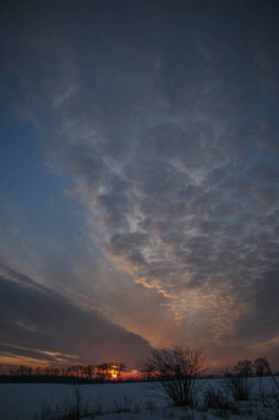 Önünde ağaçlar olan karla kaplı bir tarlanın üzerinde parlak bir kış günbatımı. Yazıtlar için güzel bir arka plan. Ukrayna, Shostka