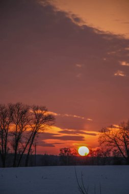 Önünde ağaçlar olan karla kaplı bir tarlanın üzerinde parlak bir kış günbatımı. Yazıtlar için güzel bir arka plan. Ukrayna, Shostka