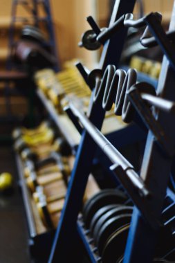 Eski sarı halterler spor salonundaki bir rafta duruyordu. Soyulmuş boya, eski püskü..