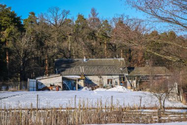 Çam ormanının yanında tahta çatılı eski bir tuğla ev. Güneşli kış günü dikilmiş tarlalar ve eski çitler ön planda.