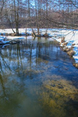Dalgalı su yüzeyinde yansıtılan ağaçların arka planı. Kışın küçük bir nehir, karla kaplı kıyıların yansıması ve güneş parlaması. Doğal doku ve doğal renk