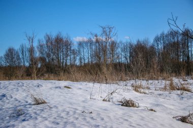 Ağaçlarla kaplı parlak karlı bir manzara. Güneşli bir bahar günü, açık mavi gökyüzü, güzel bir arka plan, doğal doku, doğal renkler..