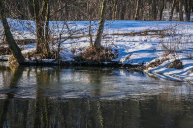 Kışın küçük bir nehir, güneşin ışınları ağaçların arasından geçer. Karlı kıyılar suya yansıyor. Kış manzarası. Kış Masalı. Kış arkaplanı.